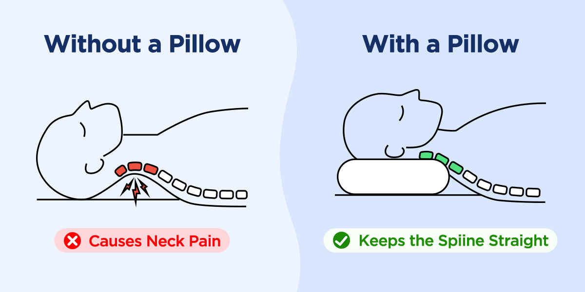 Bedding, mattress, and neck support alternatives