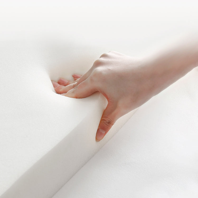 Momory Foam Insert for the Original Cervical Pillow | ZAMATHOME